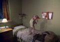 dobby.jpg